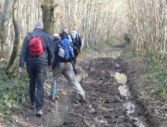 The Somme Revisited