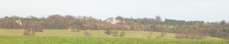 View across to Higham Park